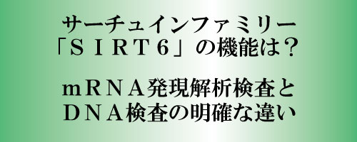 SIRT6の機能