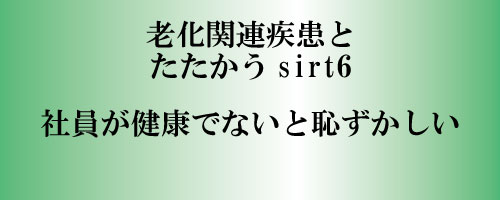 老化関連疾患と戦うsirt6