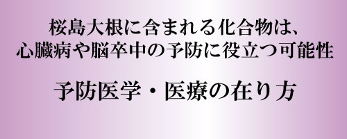 桜島大根に含まれる化合物は、冠状動脈の血管を保護し、心臓病や脳卒中を予防するのに役立つ可能性