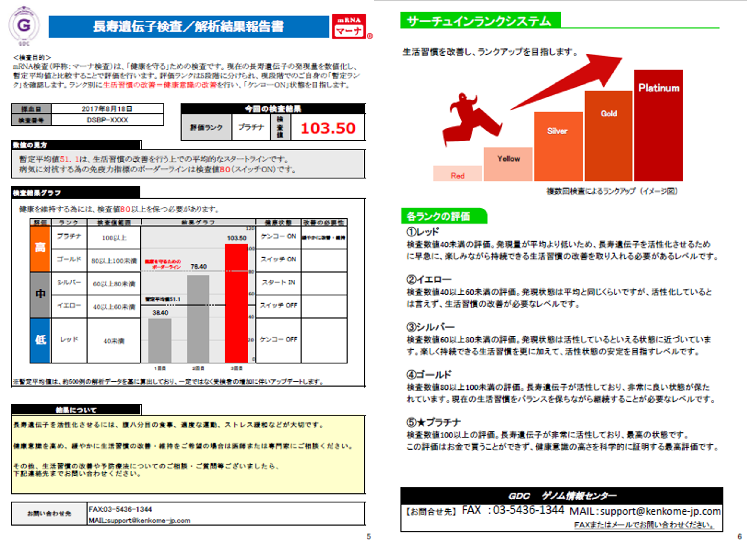 長寿遺伝子